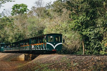 Tren Ecológico de la Selva en el Parque Nacional Iguazú